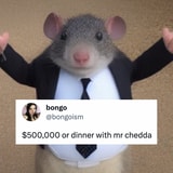 A Mouse Called Mr Chedda, And This Week's Other Best Memes, Ranked