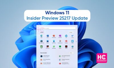 Windows 11 Insider 25217 developer update