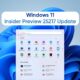 Windows 11 Insider 25217 developer update